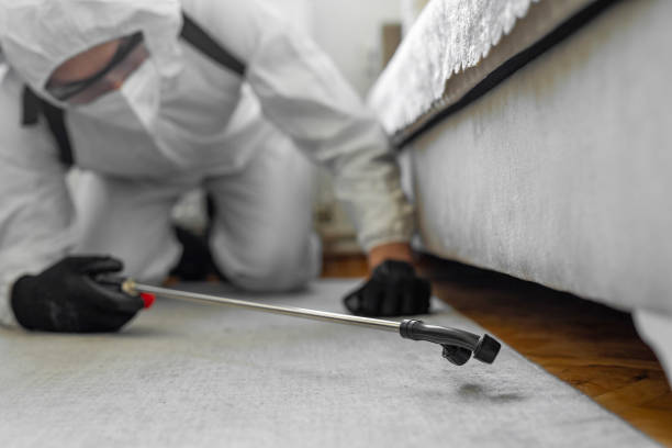 Professional Bed Bug Control technician working in Turley, OK