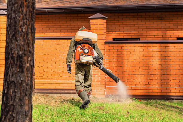 Trusted Rodent Control service in Turley, OK - Nex Pest Control